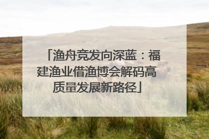 渔舟竞发向深蓝：福建渔业借渔博会解码高质量发展新路径