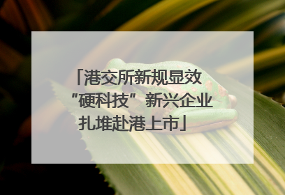 港交所新规显效 “硬科技”新兴企业扎堆赴港上市