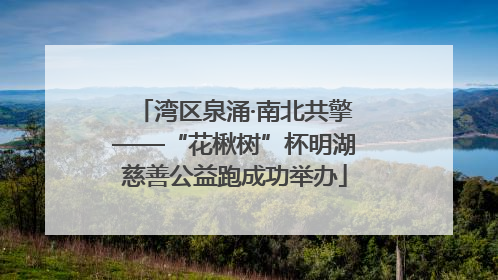 湾区泉涌·南北共擎——“花楸树”杯明湖慈善公益跑成功举办