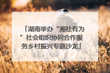 湖南举办“湘社有为”社会组织协同合作服务乡村振兴专题沙龙