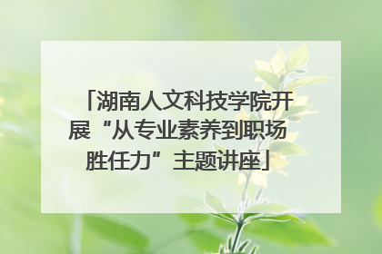 湖南人文科技学院开展“从专业素养到职场胜任力”主题讲座