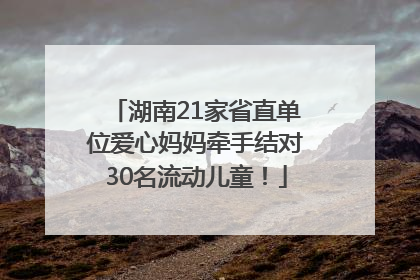 湖南21家省直单位爱心妈妈牵手结对30名流动儿童！