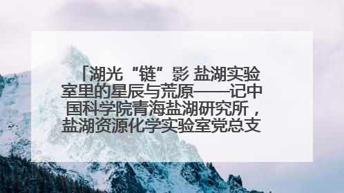 湖光“链”影 盐湖实验室里的星辰与荒原——记中国科学院青海盐湖研究所，盐湖资源化学实验室党总支书记、副主任刘忠