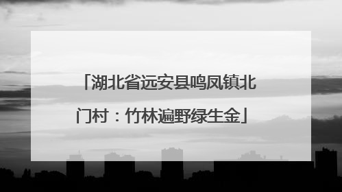 湖北省远安县鸣凤镇北门村：竹林遍野绿生金