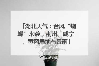 湖北天气：台风“蝴蝶”来袭，荆州、咸宁、黄冈局地有暴雨