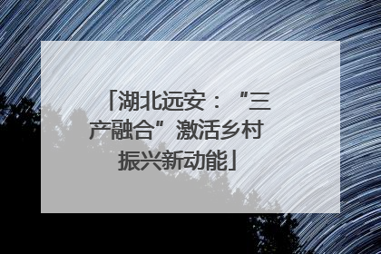 湖北远安：“三产融合”激活乡村振兴新动能