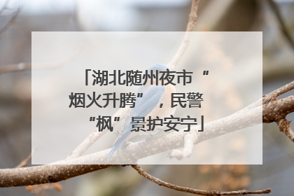 湖北随州夜市“烟火升腾”，民警“枫”景护安宁