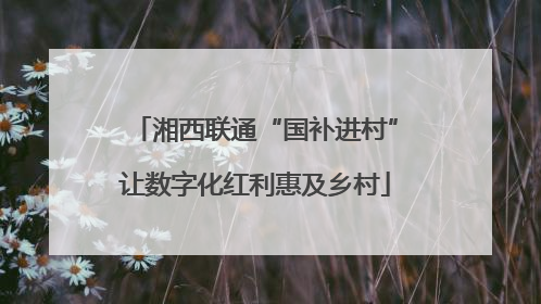 湘西联通“国补进村”让数字化红利惠及乡村