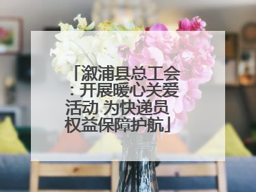 溆浦县总工会：开展暖心关爱活动 为快递员权益保障护航