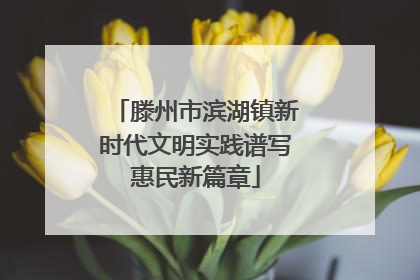 滕州市滨湖镇新时代文明实践谱写惠民新篇章