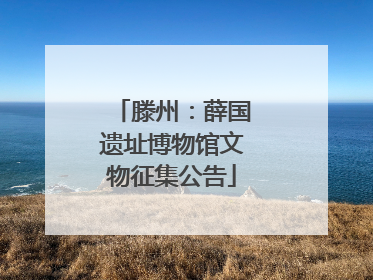 滕州：薛国遗址博物馆文物征集公告
