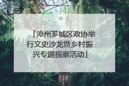 漳州芗城区政协举行文史沙龙暨乡村振兴专题视察活动