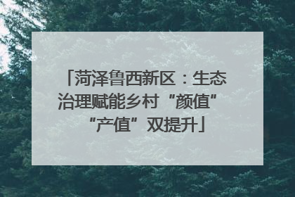 菏泽鲁西新区：生态治理赋能乡村“颜值”“产值”双提升