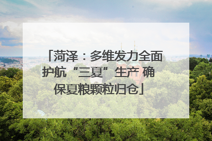 菏泽：多维发力全面护航“三夏”生产 确保夏粮颗粒归仓