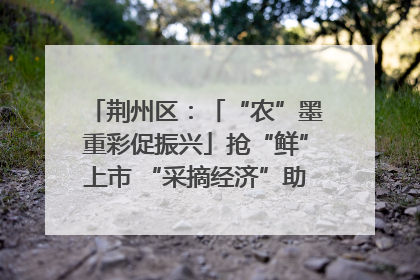 荆州区：「“农”墨重彩促振兴」抢“鲜”上市 “采摘经济”助农“甜蜜增收”