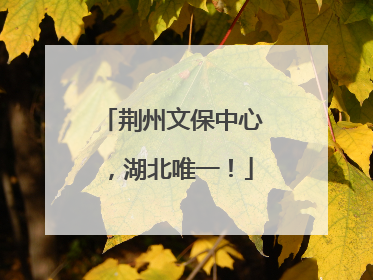 荆州文保中心，湖北唯一！