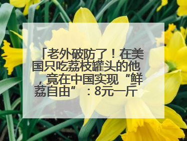 老外破防了！在美国只吃荔枝罐头的他，竟在中国实现“鲜荔自由”：8元一斤敞开吃！