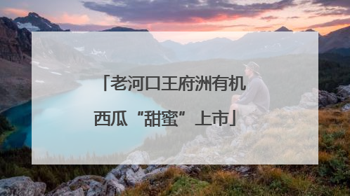 老河口王府洲有机西瓜“甜蜜”上市