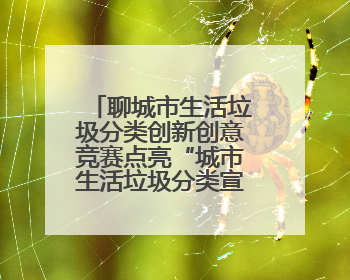 聊城市生活垃圾分类创新创意竞赛点亮“城市生活垃圾分类宣传周”