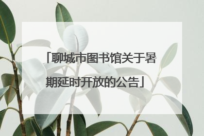 聊城市图书馆关于暑期延时开放的公告
