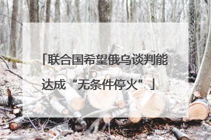 联合国希望俄乌谈判能达成“无条件停火”