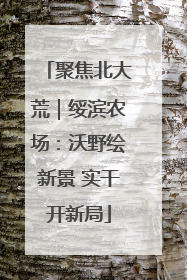 聚焦北大荒｜绥滨农场：沃野绘新景 实干开新局