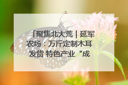 聚焦北大荒｜延军农场：万斤定制木耳发货 特色产业“成绩单”亮眼