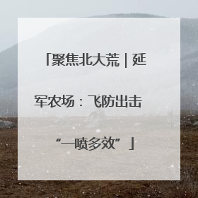 聚焦北大荒｜延军农场：飞防出击 “一喷多效”