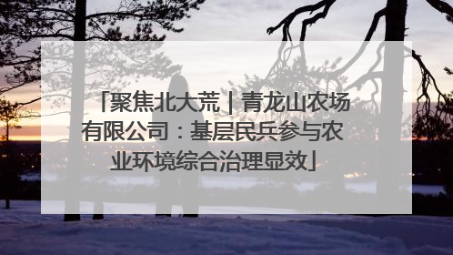 聚焦北大荒｜青龙山农场有限公司：基层民兵参与农业环境综合治理显效