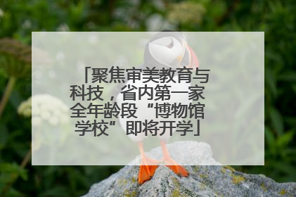 聚焦审美教育与科技，省内第一家全年龄段“博物馆学校”即将开学