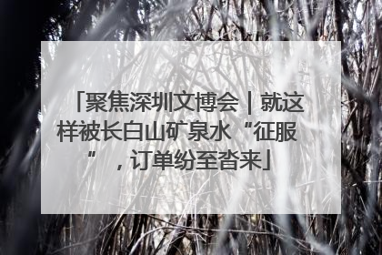 聚焦深圳文博会｜就这样被长白山矿泉水“征服”，订单纷至沓来