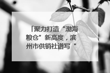 聚力打造“渤海粮仓”新高度，滨州市供销社谱写“三夏”丰收乐章