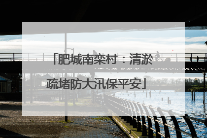 肥城南栾村：清淤疏堵防大汛保平安
