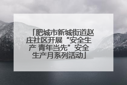 肥城市新城街道赵庄社区开展“安全生产 青年当先”安全生产月系列活动