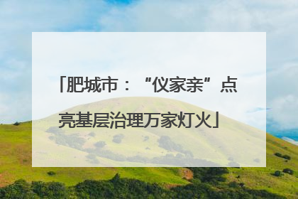 肥城市：“仪家亲”点亮基层治理万家灯火