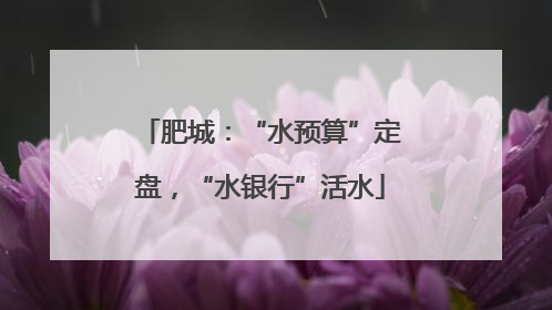 肥城：“水预算”定盘，“水银行”活水