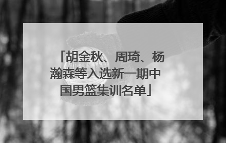 胡金秋、周琦、杨瀚森等入选新一期中国男篮集训名单