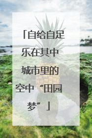 自给自足 乐在其中 城市里的空中“田园梦”