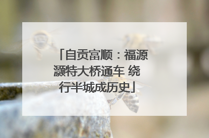自贡富顺：福源灏特大桥通车 绕行半城成历史