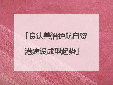 良法善治护航自贸港建设成型起势