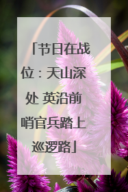 节日在战位：天山深处 英沿前哨官兵踏上巡逻路
