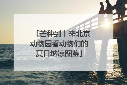 芒种到丨来北京动物园看动物们的夏日纳凉图鉴