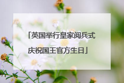 英国举行皇家阅兵式庆祝国王官方生日