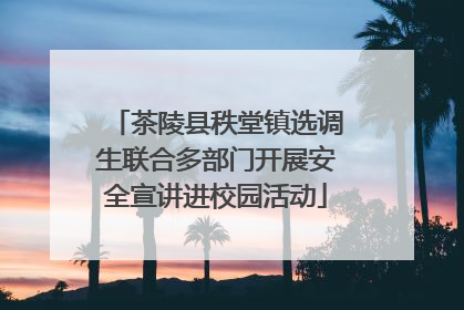 茶陵县秩堂镇选调生联合多部门开展安全宣讲进校园活动