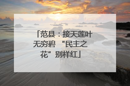 范县：接天莲叶无穷碧 “民主之花”别样红