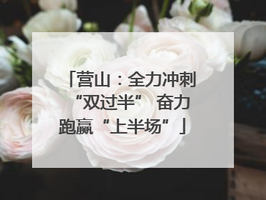 营山：全力冲刺“双过半” 奋力跑赢“上半场”