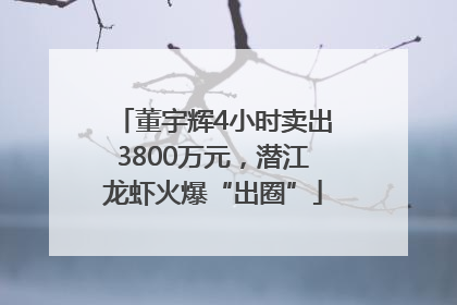 董宇辉4小时卖出3800万元，潜江龙虾火爆“出圈”