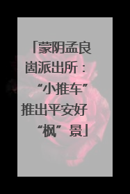 蒙阴孟良崮派出所：“小推车”推出平安好“枫”景