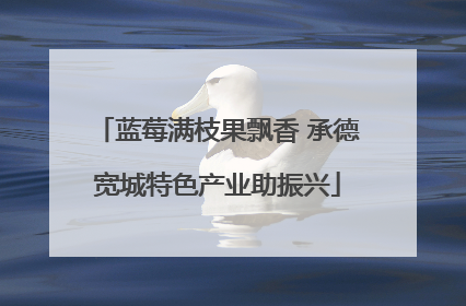 蓝莓满枝果飘香 承德宽城特色产业助振兴