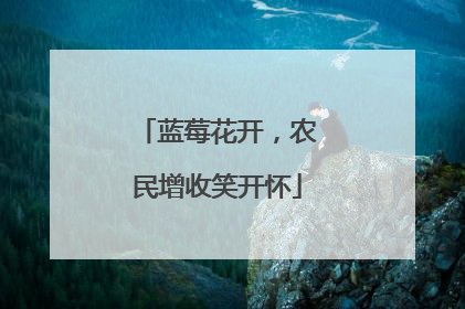 蓝莓花开，农民增收笑开怀